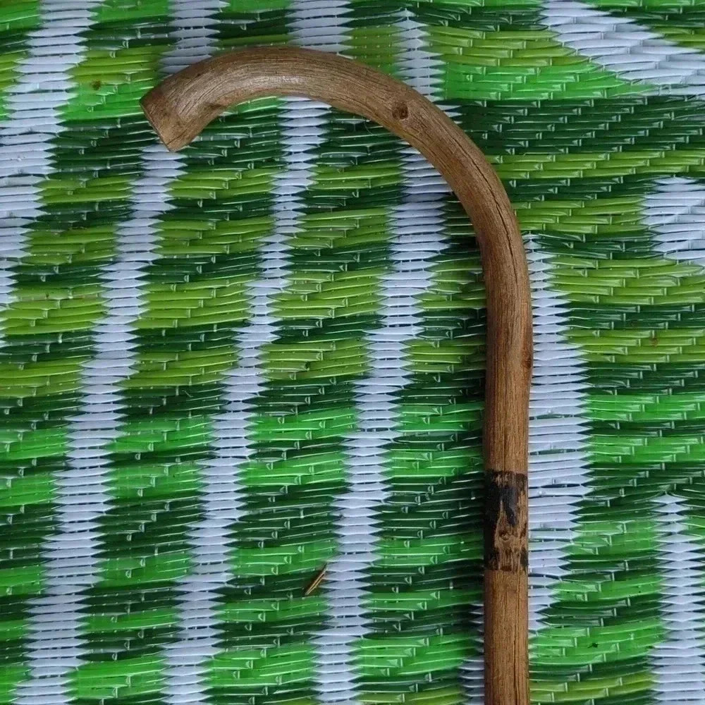 Bamboo cane - Picture 5 of 5